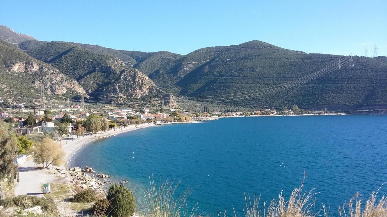 Margherita'S Holidays Home Agios Spyridon  외부 사진