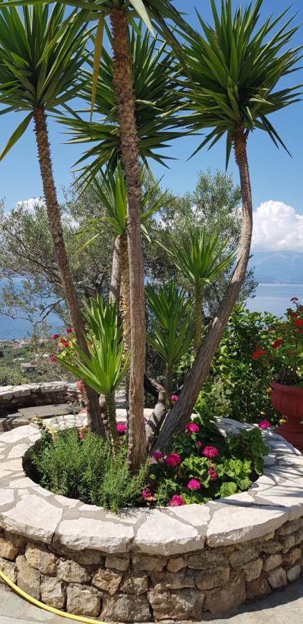 Margherita'S Holidays Home Agios Spyridon  외부 사진